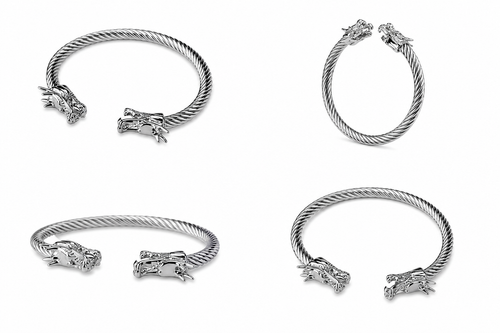 Dragon Claw Torque Bracelet