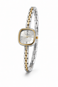 Elegant two-tone luxury wristwatch