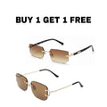 TITAN LUUXE RIMLESS + SQUANDRON HERITAGE FRAME